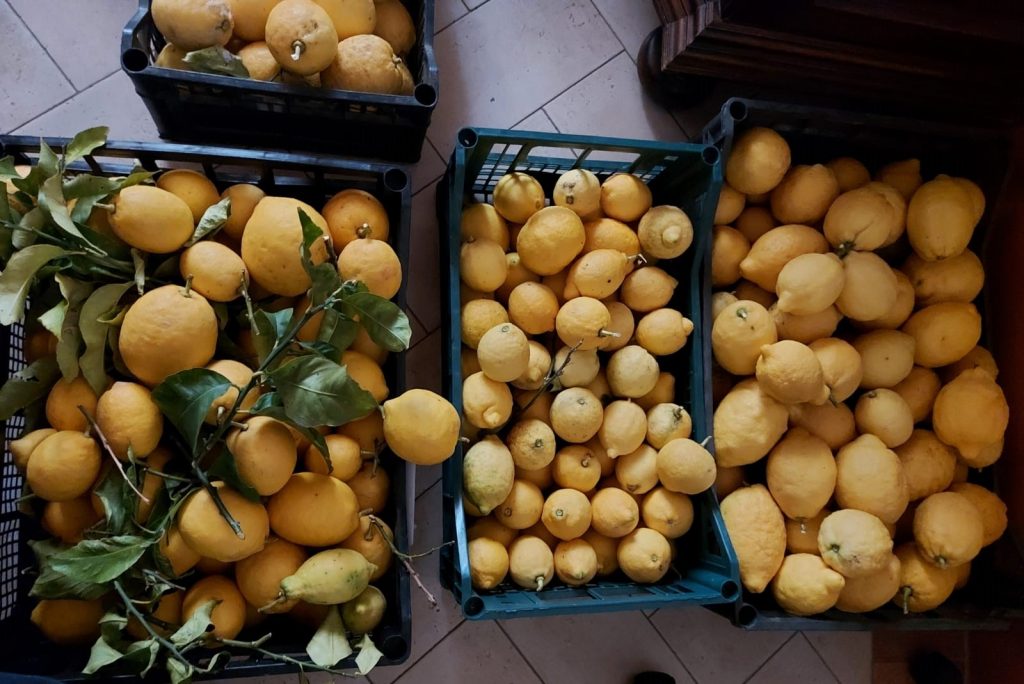 Limoni